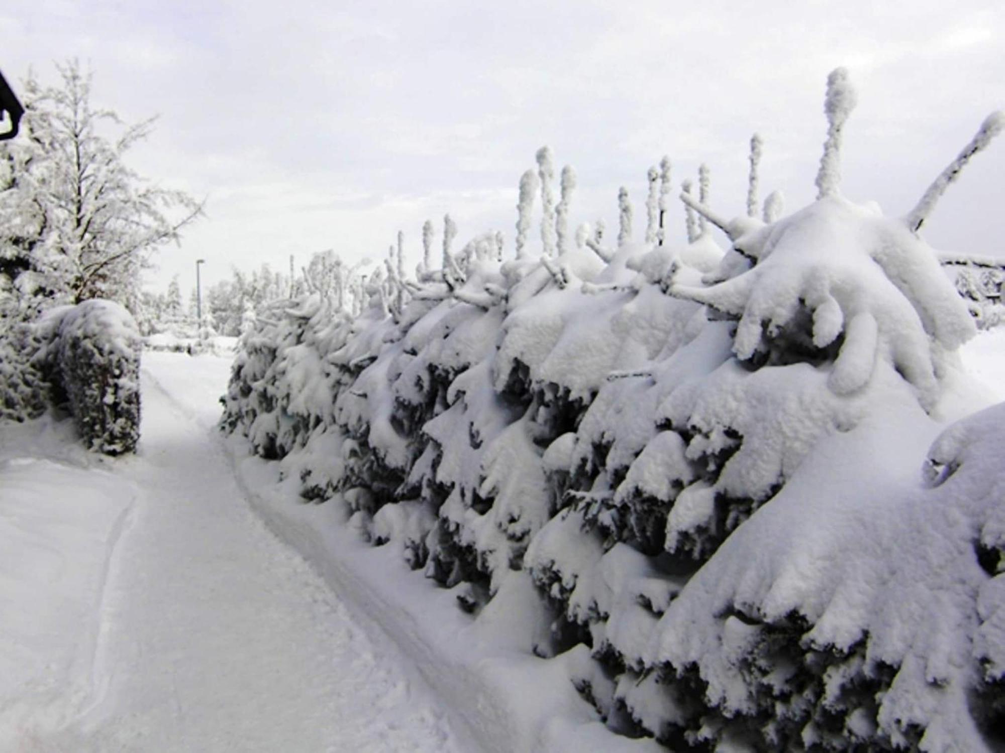 Holiday Home With Garden นอยสตาดท์ อัม เรนน์สไตก์ ภายนอก รูปภาพ